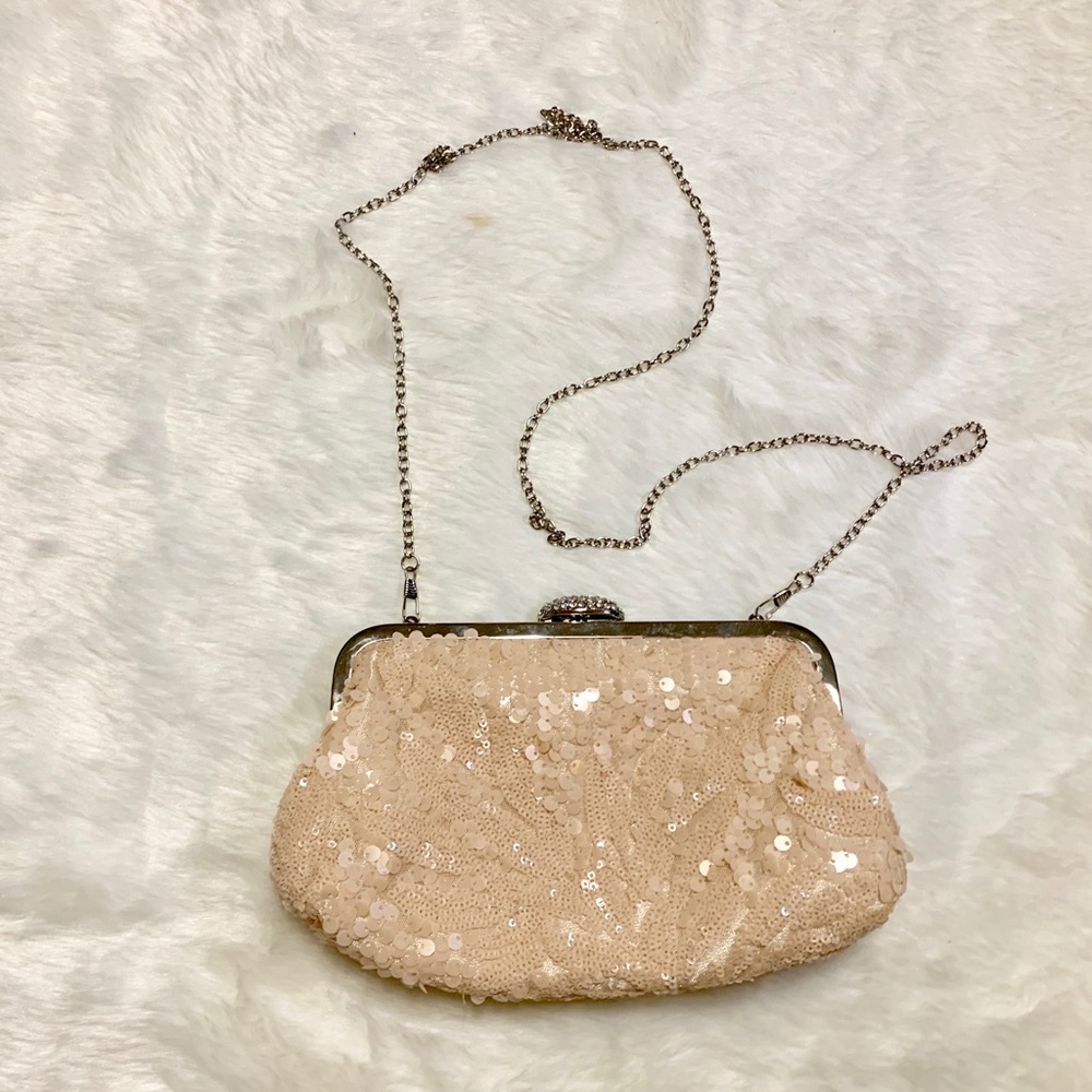 Champagne Sequin Clutch